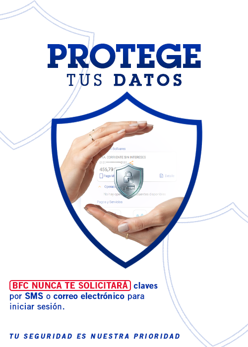 Phishing-Seguridad-Banner-Web-Móvil-500x700
